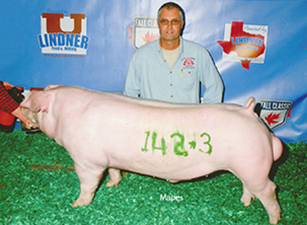 Top Cut Champions