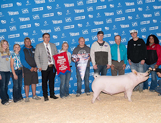 Top Cut Winners