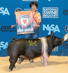 Top Cut Winners