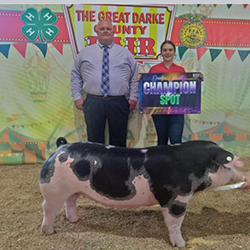 Top Cut Winners
