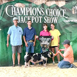 Top Cut Champions
