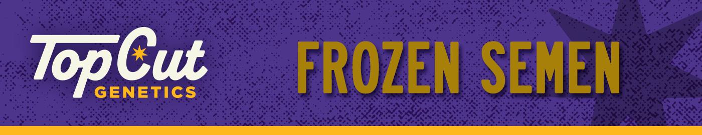 Frozen Semen
