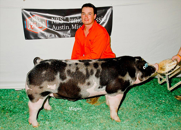 Reserve Spot Barrow National Barrow Show