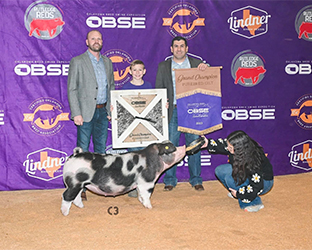 Top Cut Winners