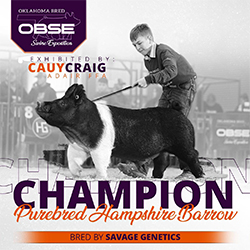 Top Cut Champions