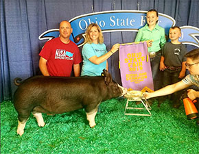 Gold Digger pickup ISCA show winner