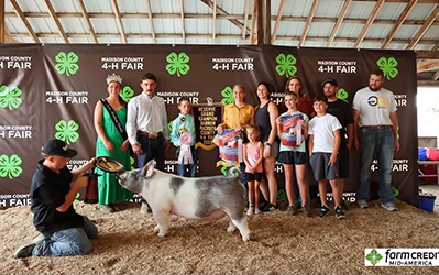 Reserve Grand Champion Barrow
2026 Madison County Fair, IN